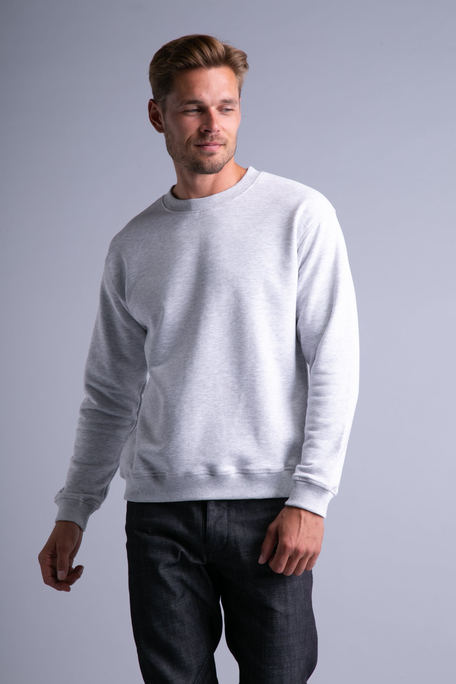 Basic sweatshirt for men Light grey