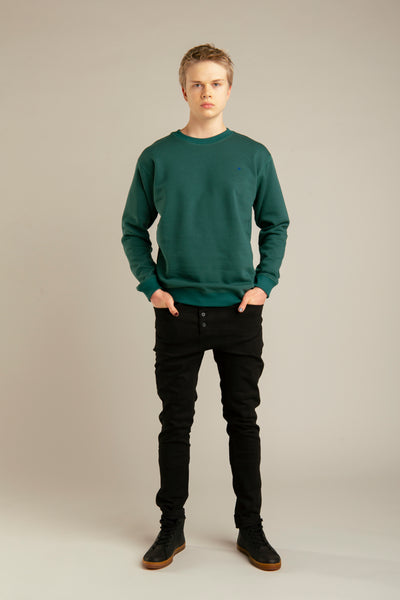 Basic sweatshirt with arrow embroidery for men | Green