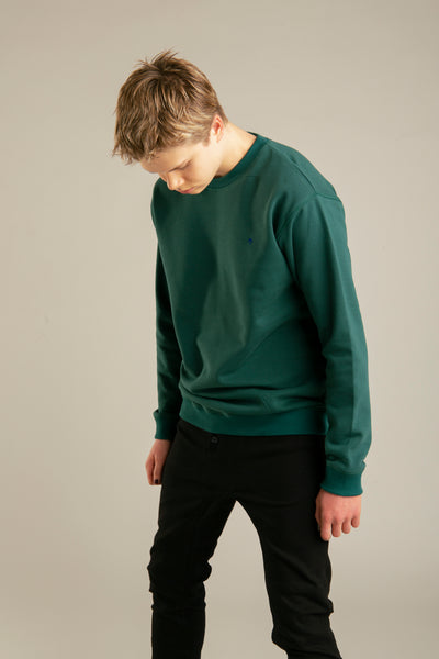 Pullover für Herren, Basic mit Pfeil-Stickerei | Grün