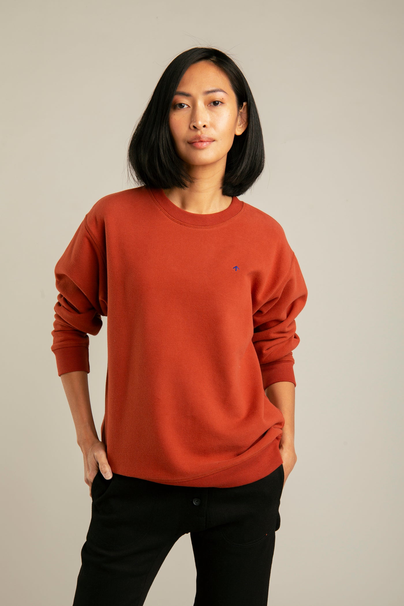 Basic sweatshirt with arrow embroidery for women  | Brick red