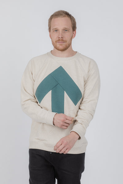 Pullover für Herren | Beige, grün