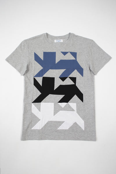 AUS/KARU Herren T-Shirt Löwe | Grau, dreifargib